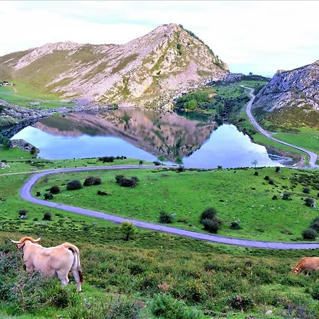 El Cueto Del Sella - Playa Y Senderismo Casa vacanze